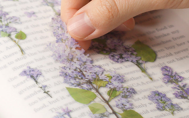 Appree - Pressed Flower Sticker Lilac