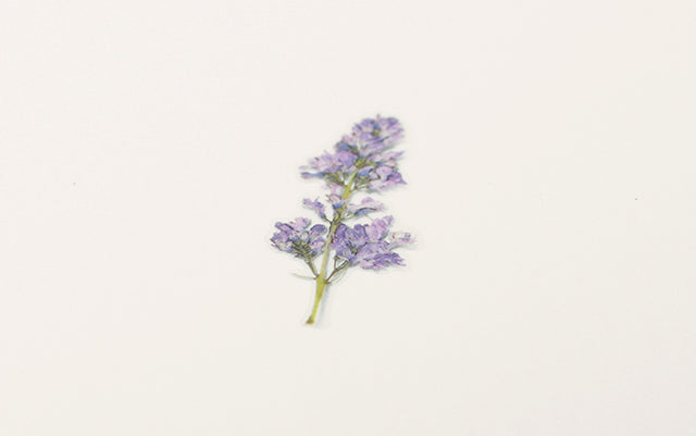 Appree - Pressed Flower Sticker Lilac