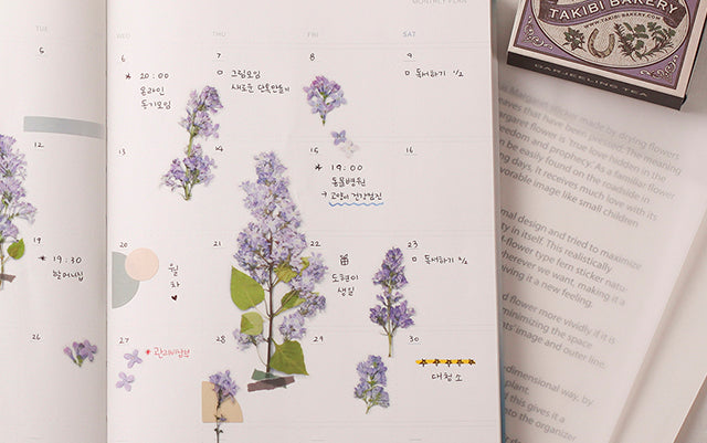 Appree - Pressed Flower Sticker Lilac