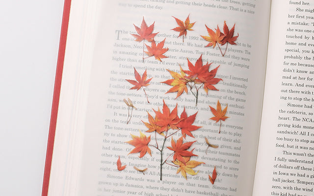 Appree - Pressed Flower Sticker Palmate Maple