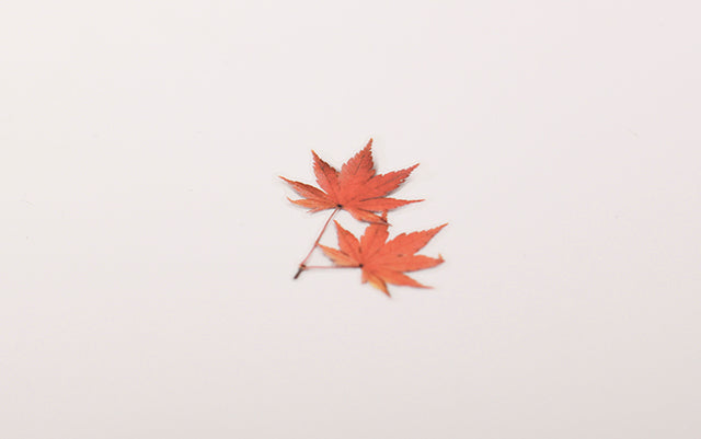 Appree - Pressed Flower Sticker Palmate Maple