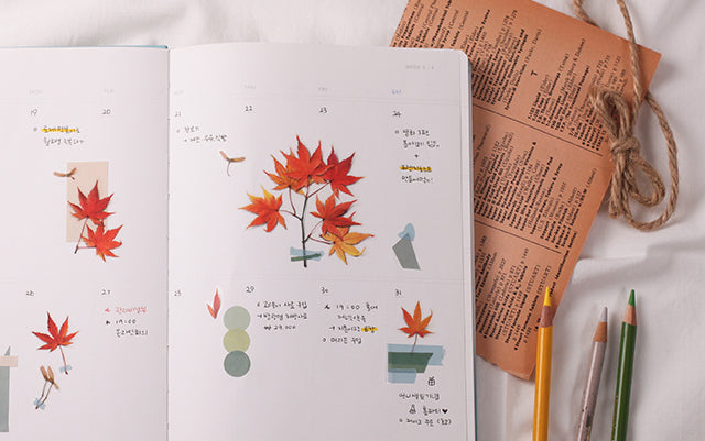 Appree - Pressed Flower Sticker Palmate Maple