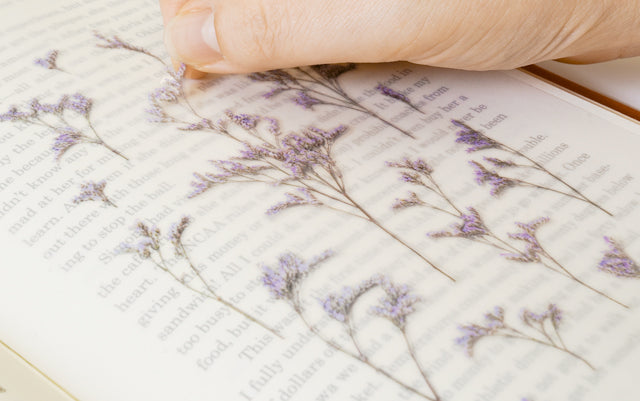 Appree - Pressed Flower Sticker Misty Blue