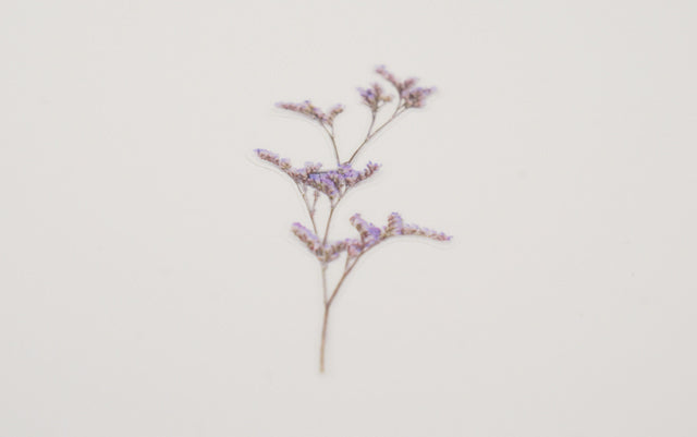 Appree - Pressed Flower Sticker Misty Blue
