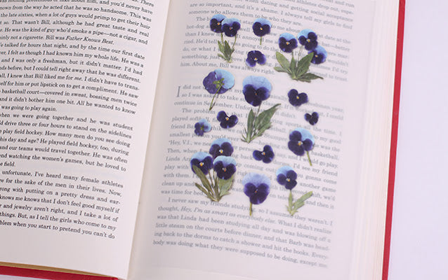 Appree - Pressed Flower Sticker Pansy