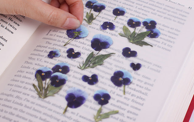 Appree - Pressed Flower Sticker Pansy