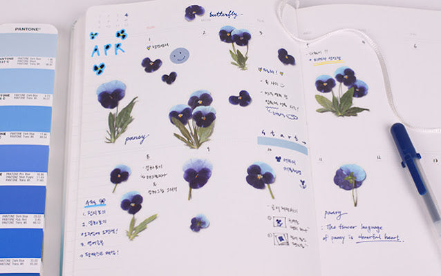 Appree - Pressed Flower Sticker Pansy