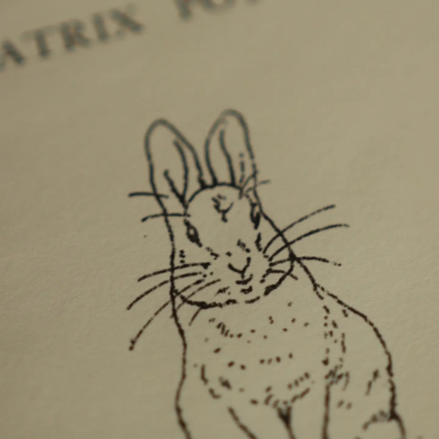 Novel Book Store - the Tale of Peter Rabbit By Beatrix Potter 1902 Book Journal