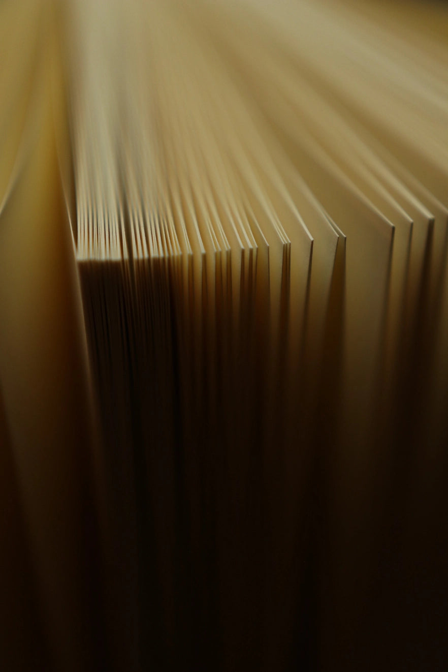 Novel Book Store - the Tale of Peter Rabbit By Beatrix Potter 1902 Book Journal