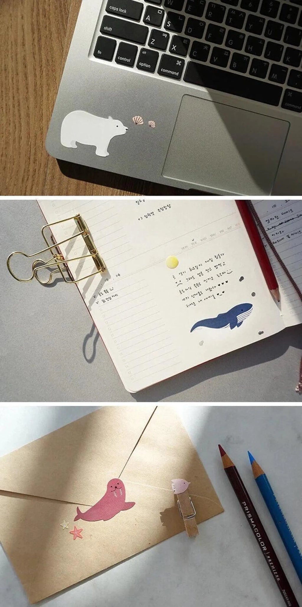 Suatelier - Sea Animal Deco Sticker Sheet