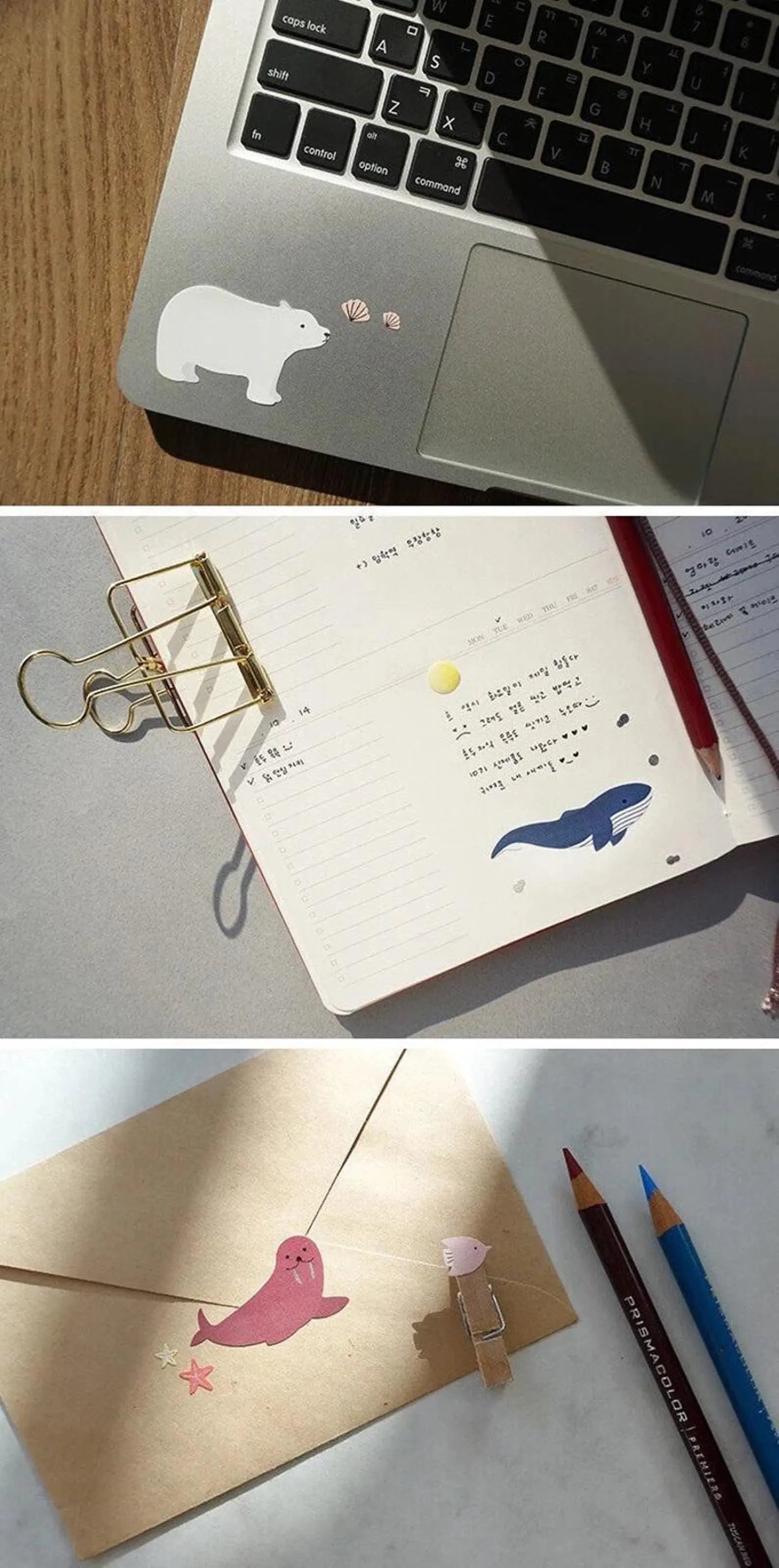 Suatelier - Sea Animal Deco Sticker Sheet