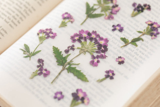 Appree - Pressed Flower Sticker Verbena