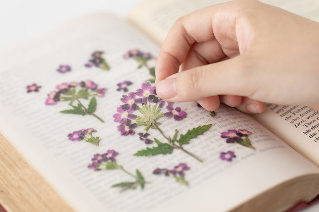 Appree - Pressed Flower Sticker Verbena