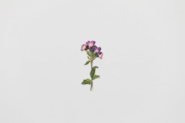 Appree - Pressed Flower Sticker Verbena
