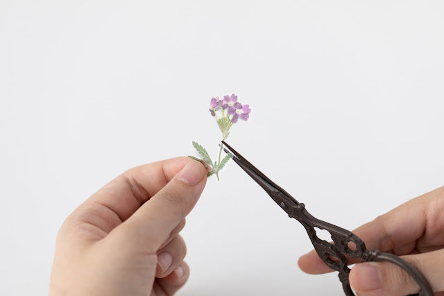 Appree - Pressed Flower Sticker Verbena