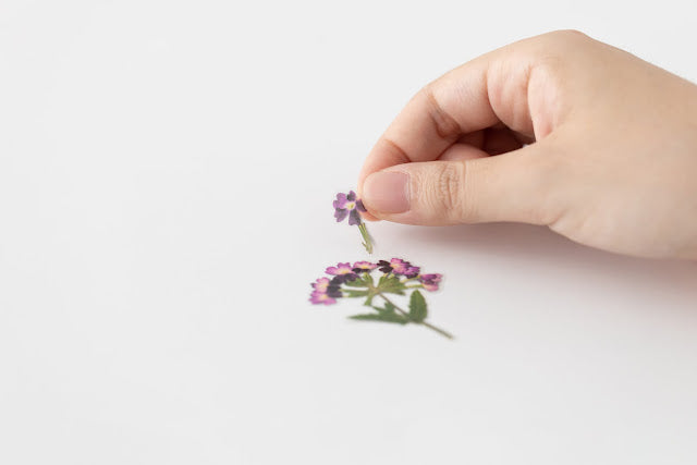 Appree - Pressed Flower Sticker Verbena